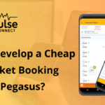 Develop a Cheap Flight Ticket Booking App Like Pegasus