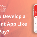 develop appp like alphapay